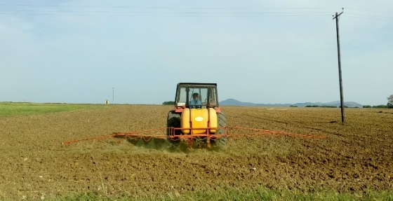 Στο Τμήμα Αγροτικής Ανάπτυξης πέτυχαν τη γενετική βελτίωση φακής, που καλλιεργήθηκε στον Β. Έβρο