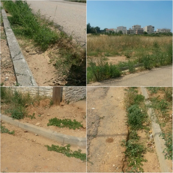 Καταγγελία κατοίκων της Αλεξανδρούπολης