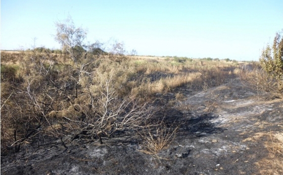 Φώτο αρχείου