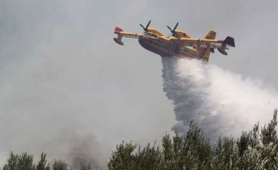 "Κάηκε" η ΠΑΜΘ - Οκτώ πυρκαγιές σε 10 ημέρες