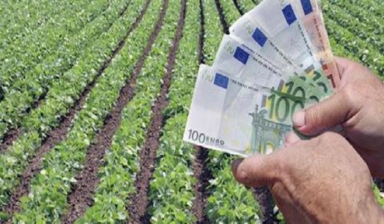Εγκατάσταση Νέων Γεωργών: Σχεδόν 20 εκατ. ευρώ για 1.035 δικαιούχους 