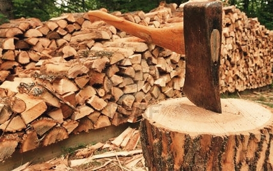 Σαμοθράκη: Στις 10 Σεπτεμβρίου λήγει η προθεσμία υποβολής αιτήσεων για προμήθεια καυσόξυλων