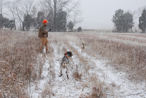 Δασαρχείο Διδυμοτείχου: Απαγόρευση κυνηγιού όταν επικρατούν ιδιαίτερα δυσμενείς καιρικές συνθήκες