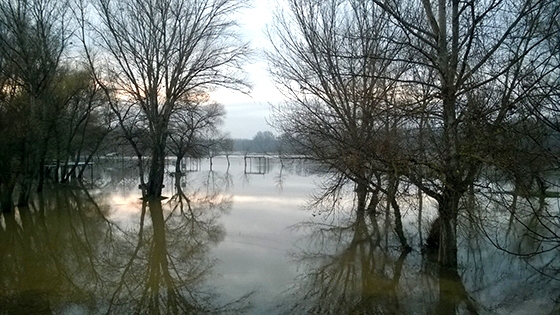 Σε επιφυλακή οι αρχές στον Έβρο για πλημμύρες - "Φούσκωσαν" τα νερά