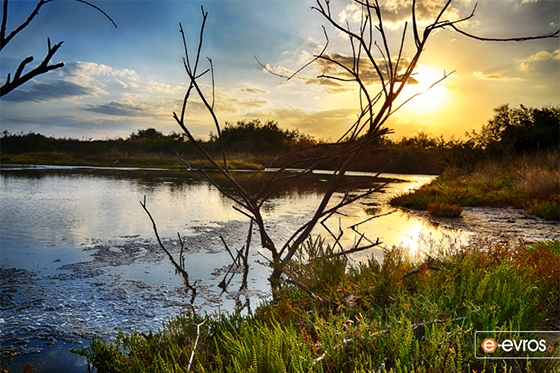 Εντάσσονται νέες περιοχές υπό την αρμοδιότητα του Φορέα Διαχείρισης Δέλτα Έβρου