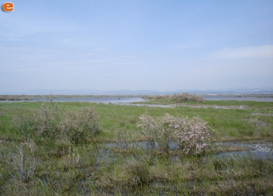 Αποζημίωση 12.000 € στους αγρότες του Έβρου για τις πλημμύρες του 2015