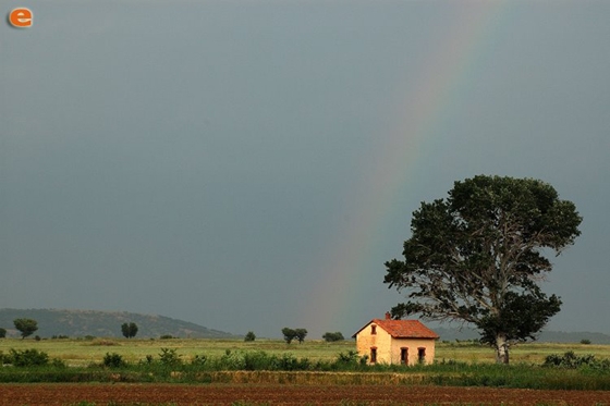Υπέροχος Κυπρίνος στον Έβρο