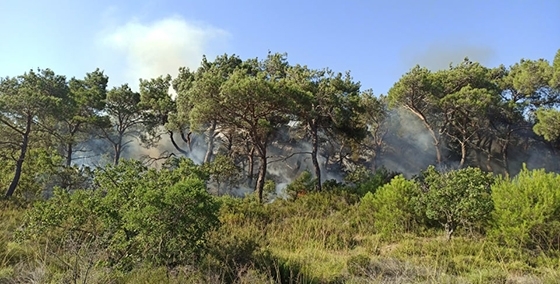 Εικόνα από τη φωτιά στη Λευκίμμη από τη 2η ημέρα της πυρκαγιάς.