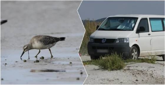 Απαγόρευση διέλευσης τροχοφόρων οχημάτων στο οδικό δίκτυο εντός του KAZ του Δέλτα του Έβρου