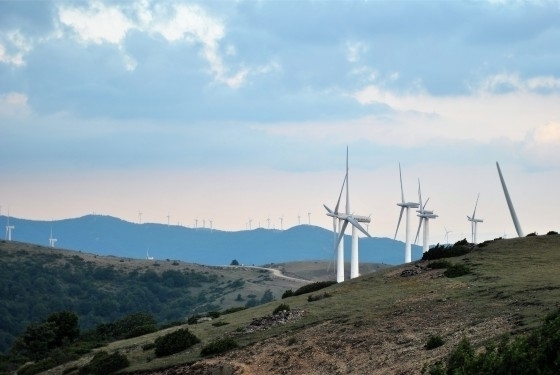 Η υπηρεσία κάλεσε τα τοπικά δασαρχεία να επανεξετάσουν τις γνωμοδοτήσεις τους.