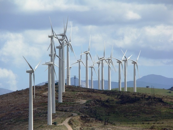 Αντίδραση πολιτών για τις ανεμογεννήτριες στο Τρίγωνο Έβρου.