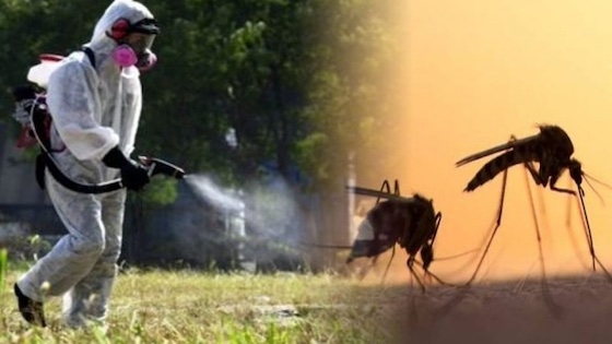 Πρόσθετη επιβάρυνση στην καταπολέμηση των κουνουπιών προκαλούν ήδη οι πλημμύρες του περασμένου χειμώνα.