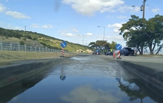 Τα σημεία απολύμανσης εξυπηρετούν οχήματα που μεταφέρουν ζώντα ζώα, ζωοτροφές και γάλα.
