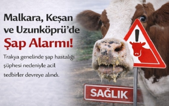 Φόβοι και στον Έβρο για τον αφθώδη πυρετό από την Τουρκία