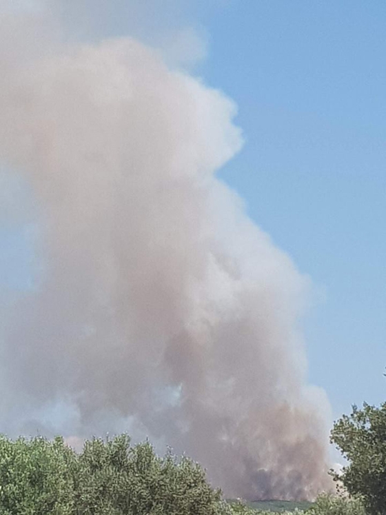 Αλεξανδρούπολη: Πυρκαγιά ξέσπασε σε δασική περιοχή της Μάκρης 