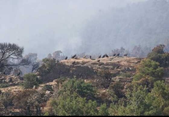 Πηγή φωτογραφίας Ανδρέας Αθανασιάδης