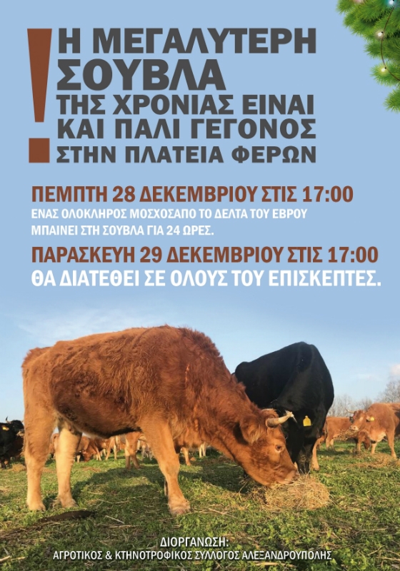 Φέρες: Έρχεται για ακόμη μια φορά η μεγαλύτερη σούβλα της χρονιάς