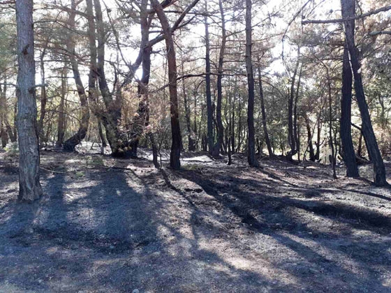 Φωτογραφία από το σημείο