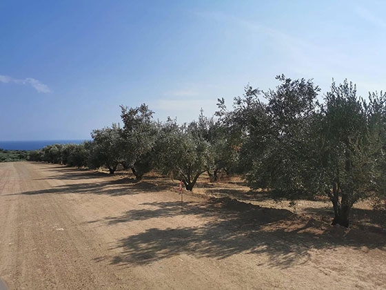 «Εντυπωσιακό έργο» ο δρόμος Μαρώνεια - Δίκελλα