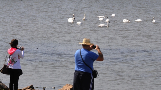 Με γοργούς ρυθμούς η ανάπτυξη του ορνιθολογικού τουρισμού στο Έβρο - Ευχάριστα νέα από την ΑΜΘ