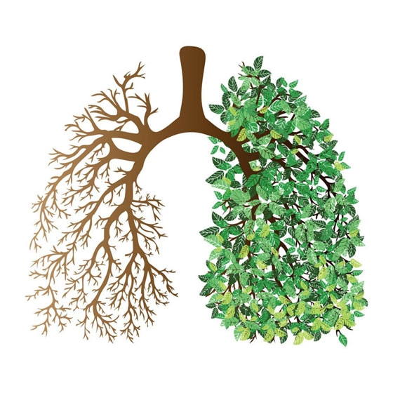 Κορονοϊός και Wei Qi (Γουεϊ Τσι) - Η προστατευτική μας ενέργεια