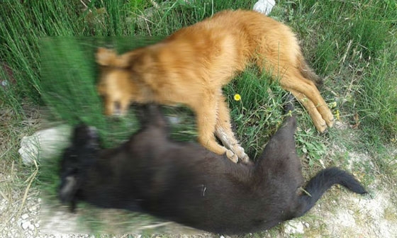 φώτο αρχείου