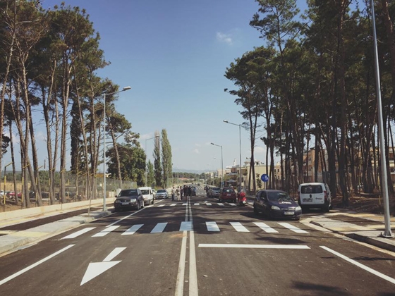 Η ομάδα πολιτών ”Πάρκο να γίνει εδώ" στην προσπάθεια της, να σώσει τα δασύλλια έχει δημιουργήσει στην ηλεκτρονική πλατφόρμα, AVAAZ.org.