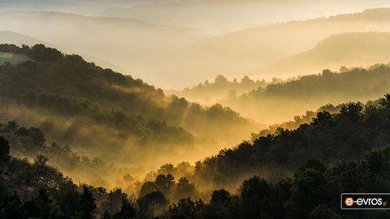 Τέλος η καύση των χόρτων στην ύπαιθρο από την 1η Μαΐου