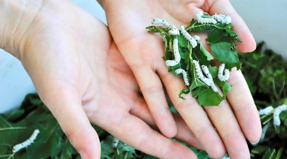 «Όλα μαρτυρούν τα χέρια που δημιούργησαν…» Βραδιά Αφήγησης στο Σουφλί