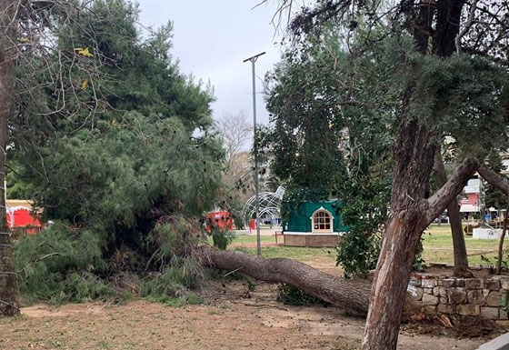 Επέλαση «Ηφαιστίων»: Πτώσεις δέντρων, δεμένα πλοία & χιόνια 