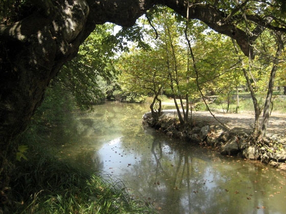 Την Παρασκευή καθαρίζουμε την περιοχή Προφήτη Ηλία στα Λουτρά