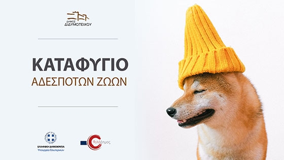 "Πράσινο φως" για την ανέγερση δημοτικού καταφυγίου αδέσποτων ζώων στο Διδυμότειχο