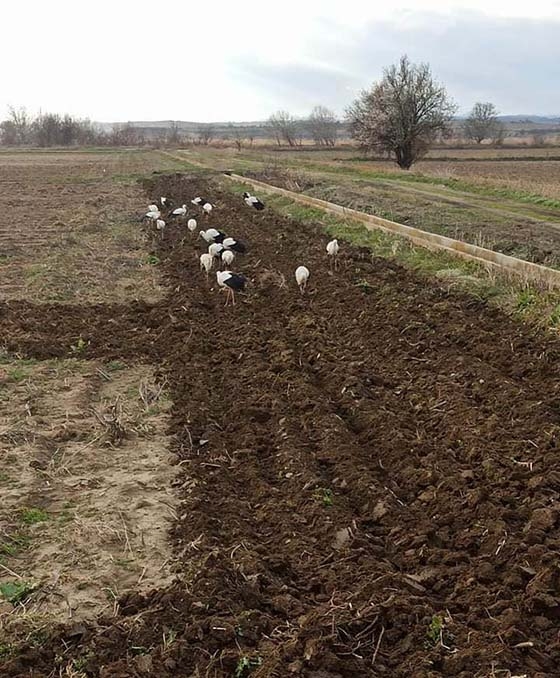 Φωτογραφία: Σάκης Πεμούσης