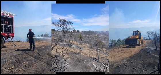 Μεγάλη μάχη με τη φωτιά στην Κυριακή Σουφλίου.