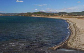 Τα επίπεδα τοξικού φυτοπλαγκτού έχουν επανέλθει σε φυσιολογικά επίπεδα.