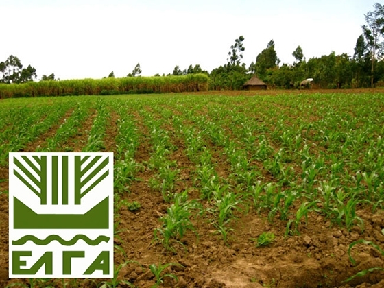 Μέχρι τις 5 Αυγούστου οι ενδιαφερόμενοι μπορούν να δουν και να διαφωνήσουν με τα πορίσματα