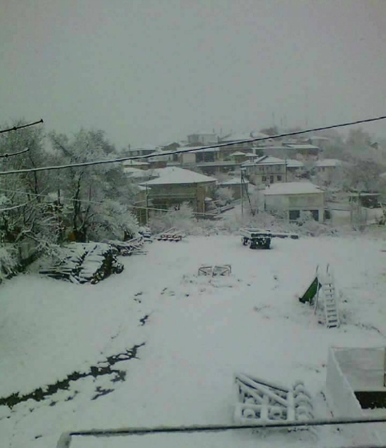 Η φωτογραφία είναι του Γιάννη Μπαξεβανίδη - Χιόνισε στον Έβρο