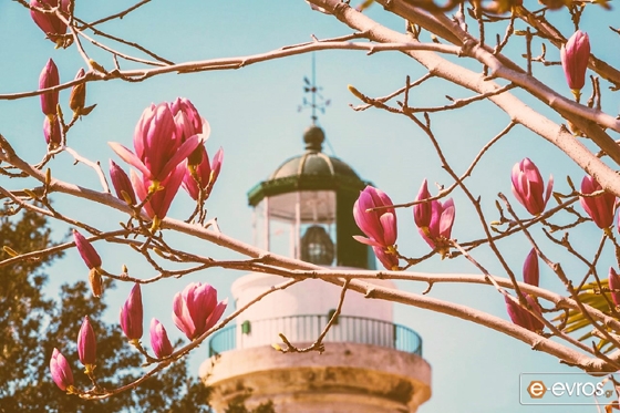 Οι μαθητές του Δημήτρη Ναλμπάντη ζωγραφίζουν την Αλεξανδρούπολη