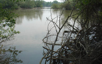 Το απόγευμα αναμένεται να ανέβει σταδιακά η στάθμη των ποταμών  Άρδα και των παραποτάμων του Έβρου.