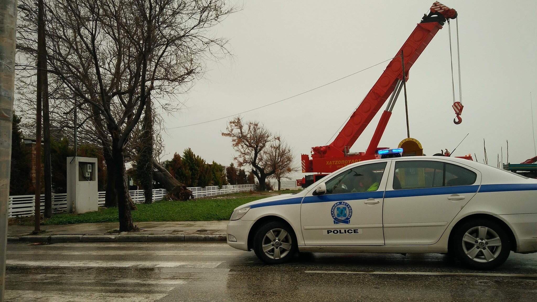 Ογκώδες δέντρο γκρέμισε μέρος της σκεπής παραλιακής καφετέριας στην Αλεξανδρούπολη.