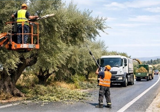 Κλάδεμα δένδρων στη Σαμοθράκη, για να μην εμποδίζουν την κυκλοφορία οχημάτων.