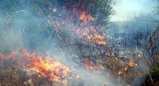 Φώτο αρχείου.