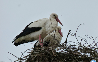 Η απογραφή έγινε στο πλαίσιο εκπαιδευτικού προγράμματος που υλοποιεί ο Φορέας Διαχείρισης.