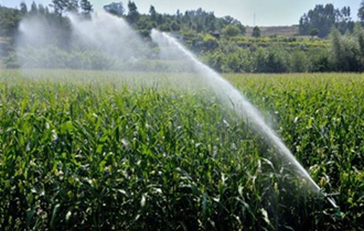 Οι πρώτοι δικαιούχοι είδαν σήμερα 19 Απριλίου τους λογαριασμούς τους να πιστώνονται με το αντίστοιχο ποσό.