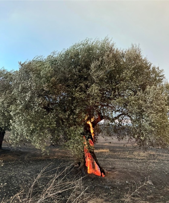 Περισσότερες από 40 καμένες οικίες έχουν καταγραφεί μέχρι αυτή την ώρα.