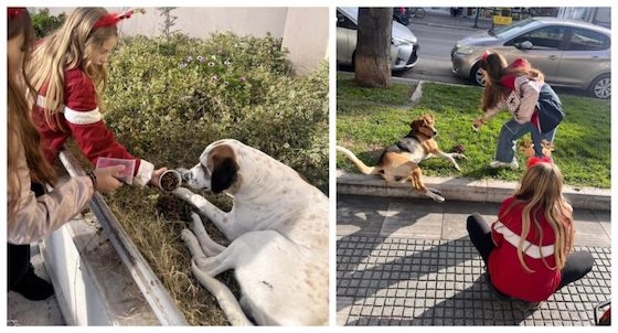 Φωτογραφία από το petpet.news