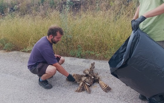Το περιστατικό εντόπισαν εθελοντές του προγράμματος European Solidarity Corps.