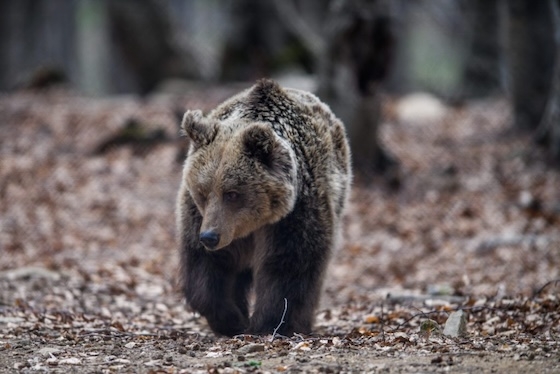 Συναγερμός σε Αισύμη, Κίρκη, Άβαντα και Τρεις Βρύσες.