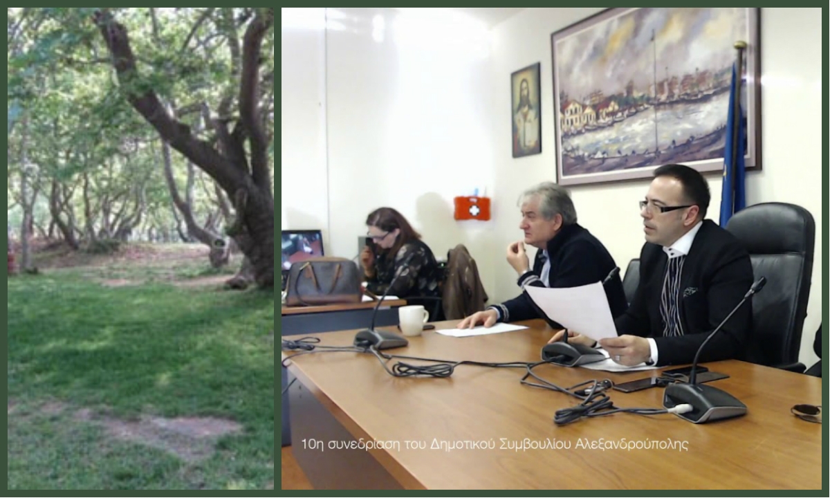 Ένταση και σύγκρουση για τον Πλατανότοπο Μαΐστρου στο Δημοτικό Συμβούλιο Αλεξανδρούπολης