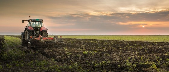 N. Γκαρά «Οι αυξήσεις στο ηλεκτρικό ρεύμα "καίνε" την αγροτική παραγωγή»